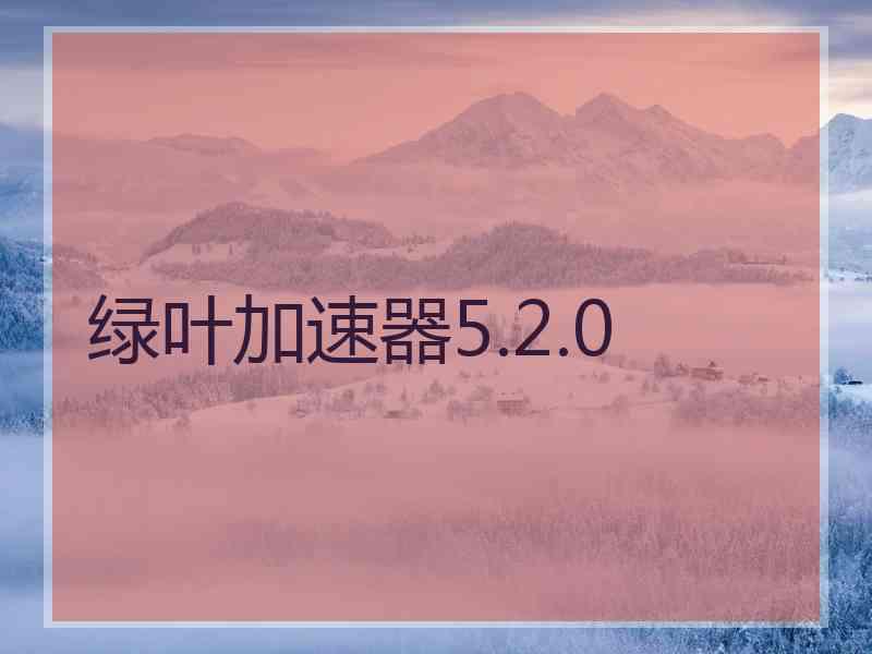 绿叶加速器5.2.0