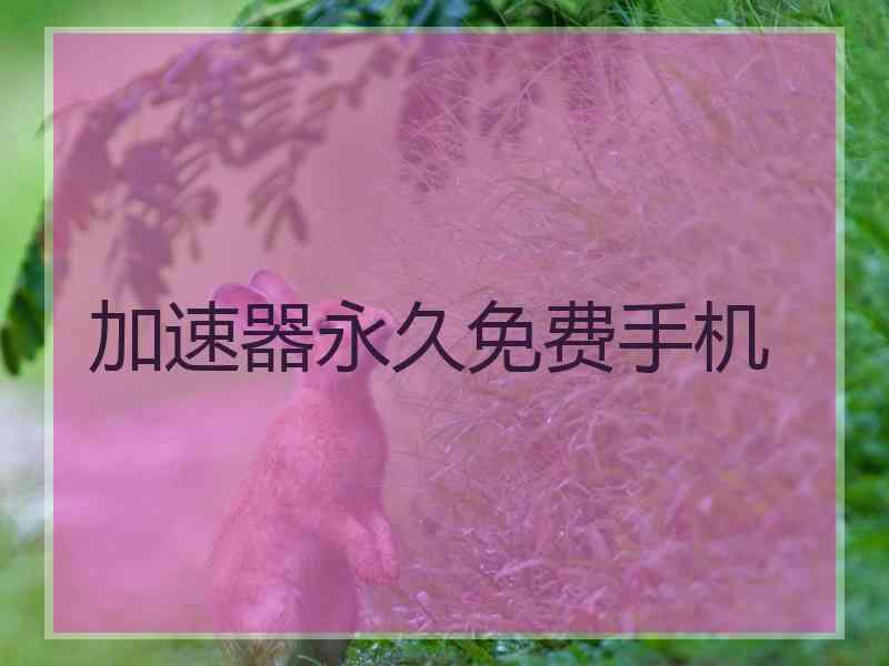 加速器永久免费手机