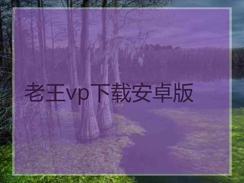 老王vp下载安卓版