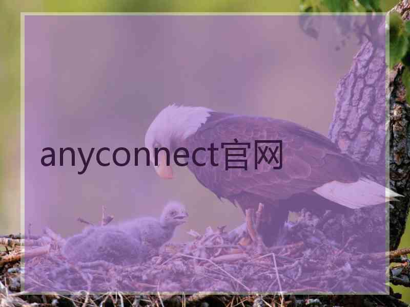 anyconnect官网