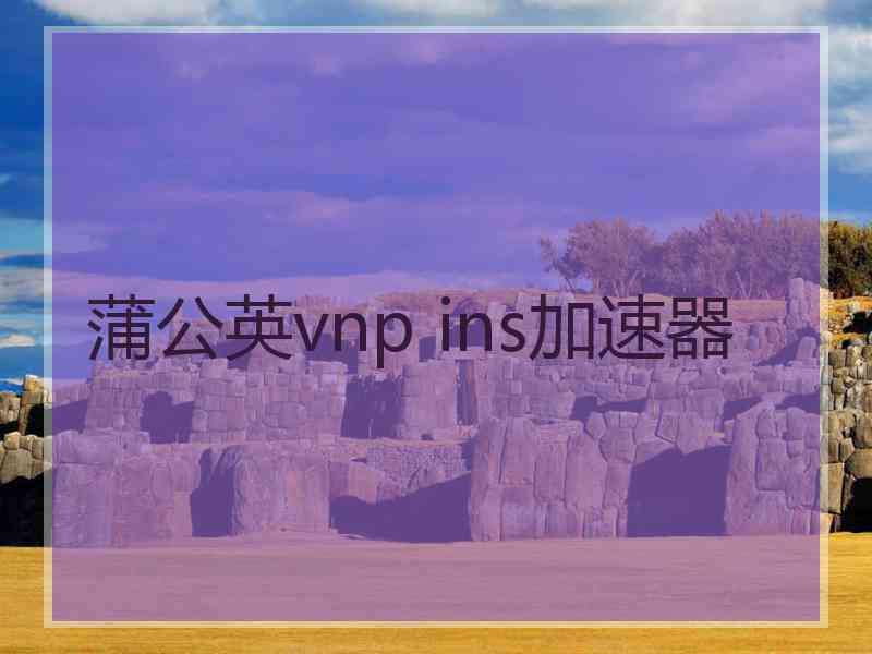 蒲公英vnp ins加速器