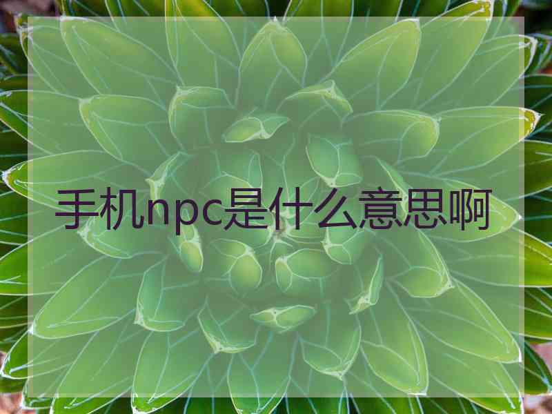 手机npc是什么意思啊