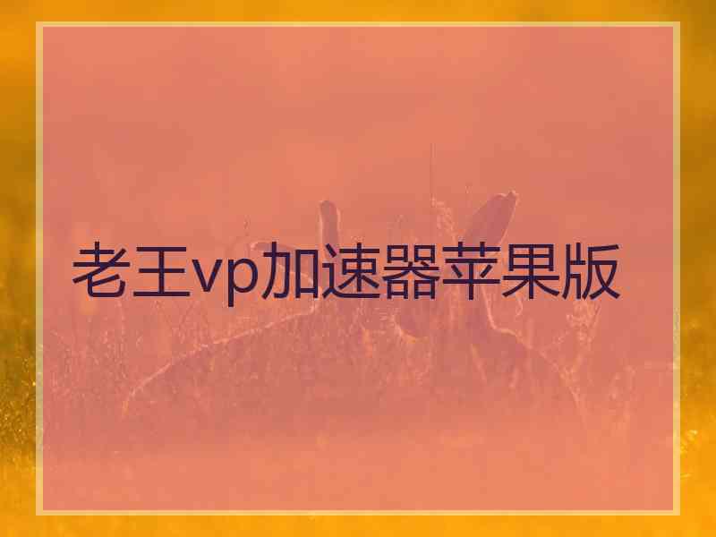 老王vp加速器苹果版