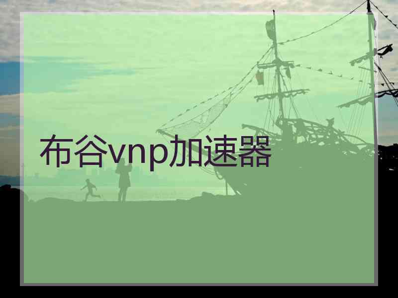 布谷vnp加速器