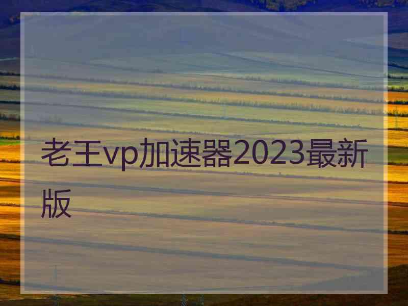 老王vp加速器2023最新版