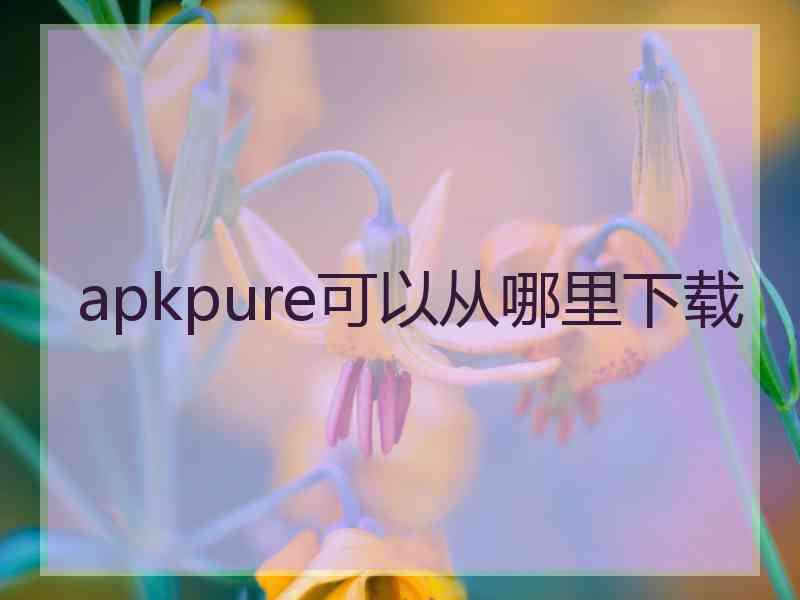 apkpure可以从哪里下载