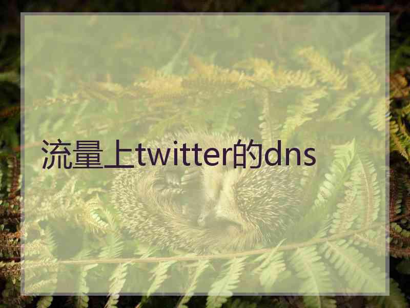 流量上twitter的dns