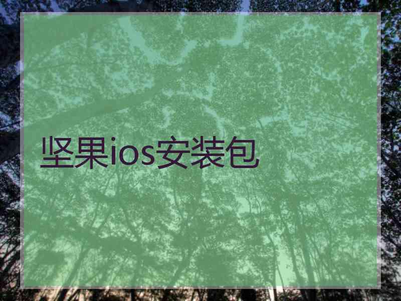 坚果ios安装包