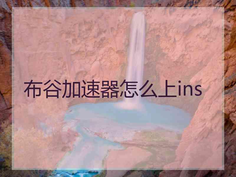 布谷加速器怎么上ins