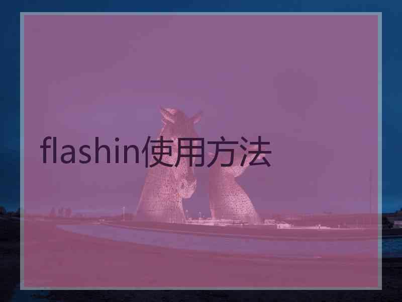 flashin使用方法