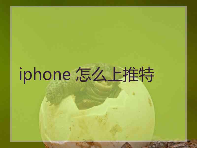 iphone 怎么上推特