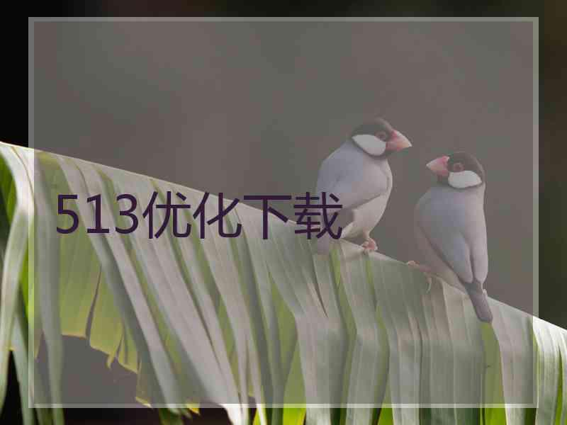 513优化下载