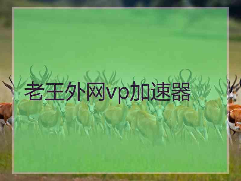 老王外网vp加速器