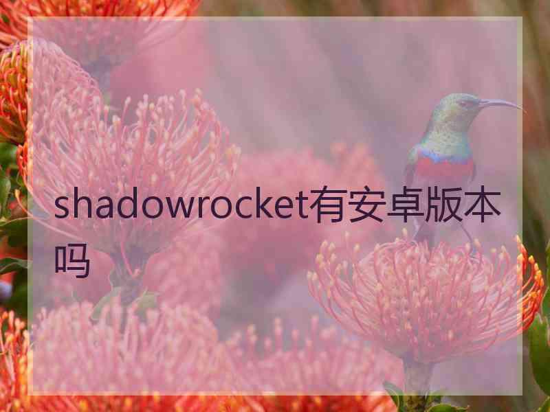 shadowrocket有安卓版本吗