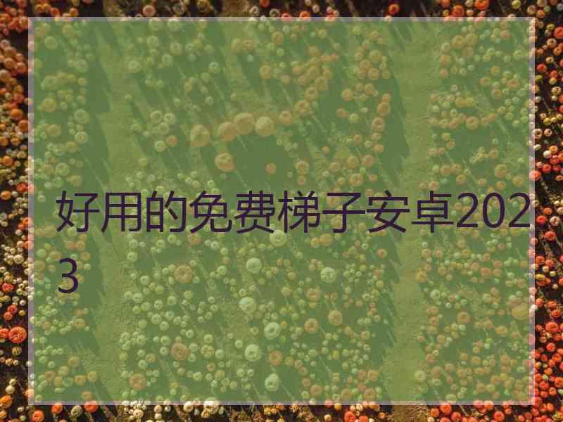 好用的免费梯子安卓2023