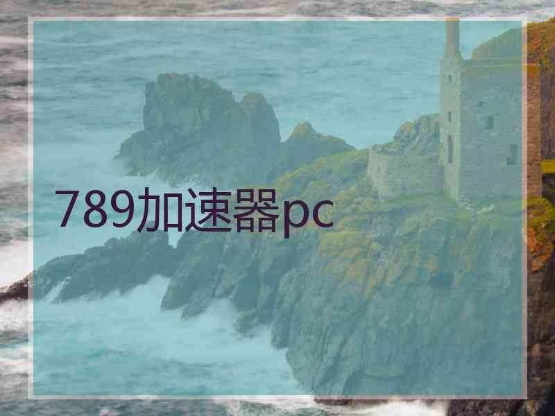 789加速器pc