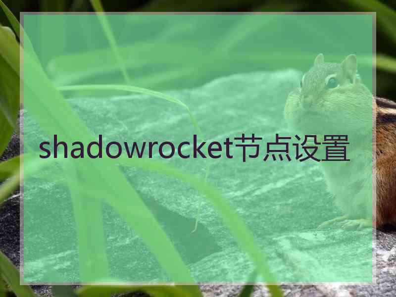 shadowrocket节点设置