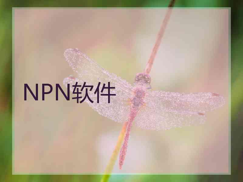 NPN软件