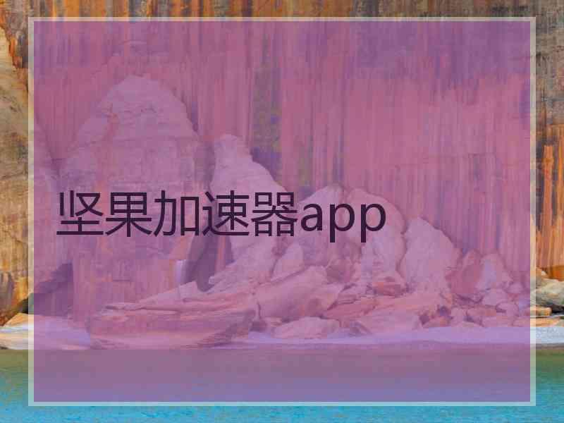 坚果加速器app