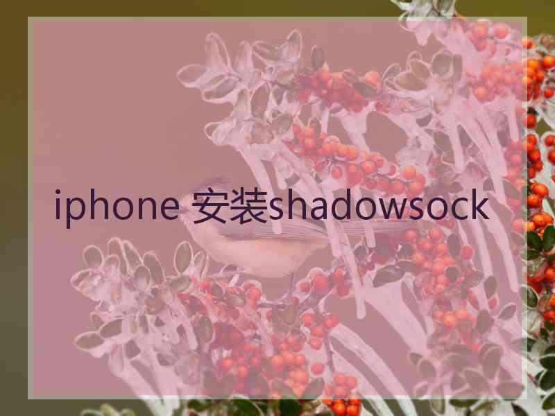 iphone 安装shadowsock