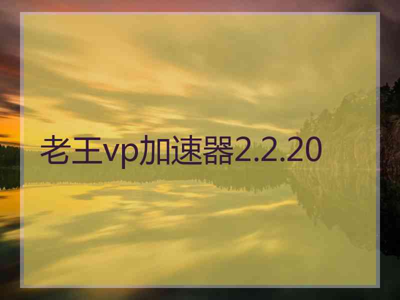 老王vp加速器2.2.20