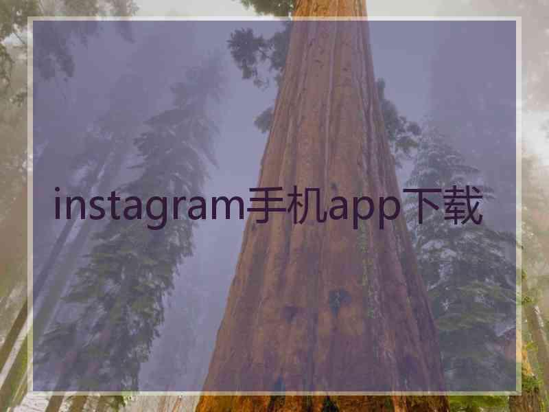 instagram手机app下载